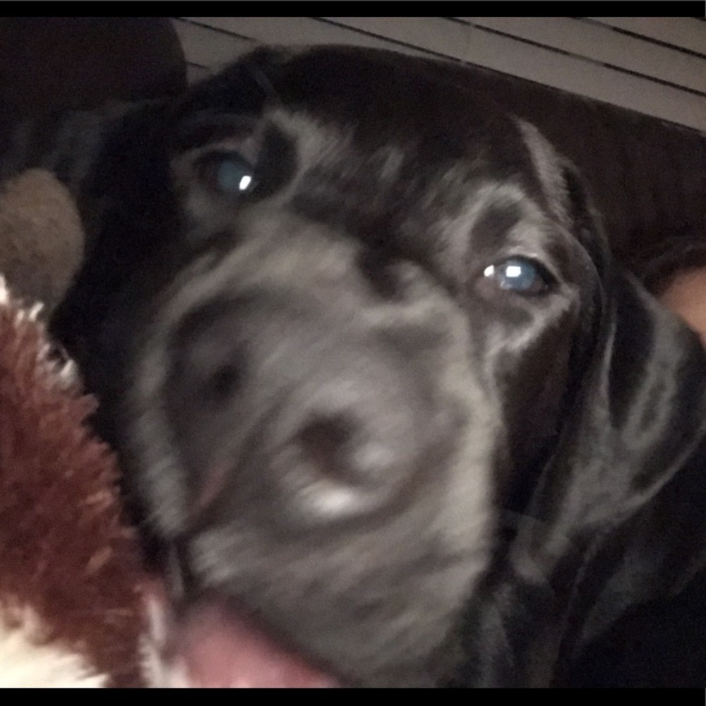 Meet your Posher, Emmy